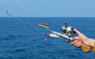 12米魚竿最挺品牌，這5種類型均可考慮