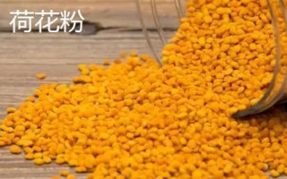 荷花粉和茶花粉有什么區(qū)別，前者的采集對象為連科植物、后者的采集對象為山茶科植物
