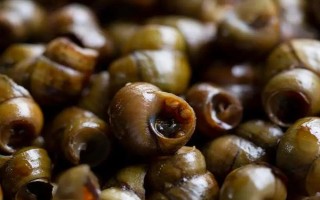 中秋節(jié)除了吃月餅還能吃什么，可以吃菱角、芋頭、田螺等