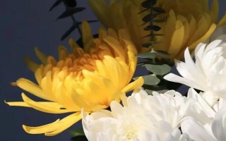 墳頭長(zhǎng)樹不清理掉的原因，是迷信的說法