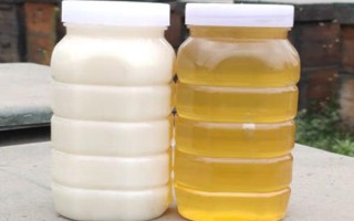 油菜蜜的價(jià)格,各地區(qū)的售價(jià)差異較大