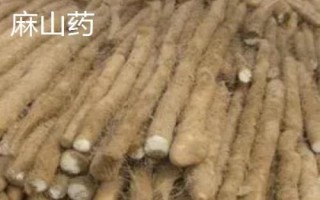 中國山藥之鄉(xiāng)指的是哪里，指的是河北保定市蠡縣