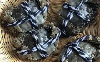24小時(shí)之內(nèi)死了的螃蟹能不能吃，需要根據(jù)保存條件決定