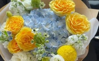 黃玫瑰的花語，寓意已逝的愛、等待的愛等