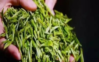 南京雨花茶屬于哪種茶，是一種綠茶也是我國的名茶