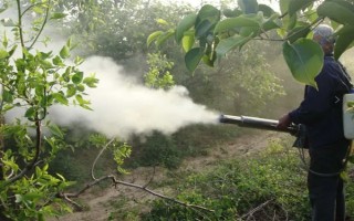 烯禾啶怎么使用，兌水后進(jìn)行噴霧