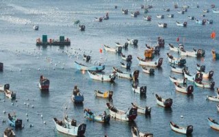 為什么舟山漁場漁業(yè)資源豐富，寒流與暖流交匯魚群較為集中