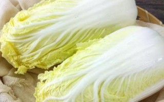 高山娃娃菜的產(chǎn)地，是中國云南的特產(chǎn)