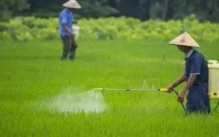 秋天種苜蓿能不能過(guò)冬，能過(guò)冬但要施足底肥