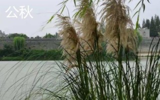 怎么區(qū)分公秋和母秋，公秋是指農(nóng)歷6月份入秋、母秋是指農(nóng)歷7月份入秋