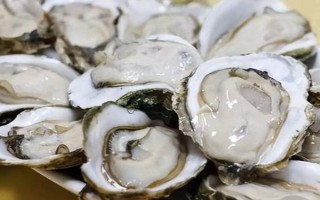 廣東汕尾的特產(chǎn)，有陸河青梅、陸河木瓜等