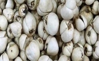 西藏那曲市的特產(chǎn)，酥油是藏族人不可缺少的食品
