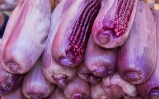 有哪些紫色菜，常見(jiàn)的有茄子、紫甘藍(lán)、洋蔥等