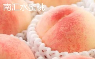 全國有名的土特產(chǎn)，各地的土特產(chǎn)都有其獨特的魅力