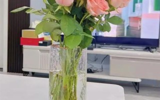 玫瑰花如何風(fēng)干，常見(jiàn)風(fēng)干方法有懸掛風(fēng)干法、自然干燥法、微波爐烘干法