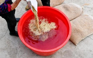 惡霉靈如何使用，可浸種、拌種等