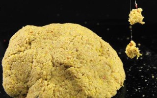 六月份能釣鯉魚，六月份的垂釣效果比較好