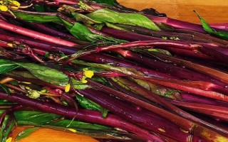有哪些紫色菜，常見(jiàn)的有茄子、紫甘藍(lán)、洋蔥等