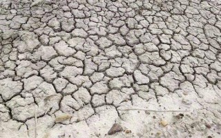 怎么改良鹽堿地的土壤，可以進(jìn)行深耕
