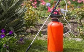1克吡蟲啉兌多少斤水，25%吡蟲啉1g一般可兌水3000ml