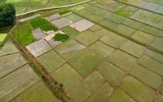 基本農(nóng)田和一般耕地的意思，前者是指被總體規(guī)劃不得占用的耕地、后者是指經(jīng)常耕耘的土地