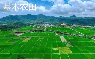 基本農(nóng)田和一般耕地的意思，前者是指被總體規(guī)劃不得占用的耕地、后者是指經(jīng)常耕耘的土地