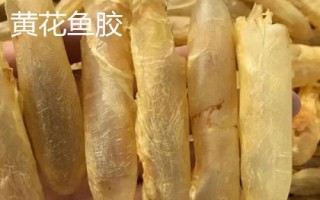 什么品種的花膠比較好，常見的有金錢鰲魚膠、大須金錢鳘魚膠等