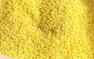 中國(guó)最好的小米產(chǎn)地在哪里，蔚縣、沁州、龍山等地的小米都很有名