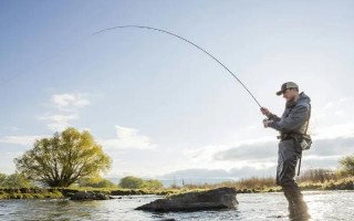 玉米釣魚是釣底還是半水，取決于魚種、釣場、天氣