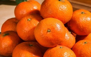 沙糖桔的產(chǎn)地，當(dāng)前主產(chǎn)于廣東、廣西等地
