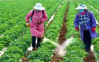 如何對(duì)蔬菜控施氮肥，可主施腐熟的有機(jī)肥、減少氮肥用量