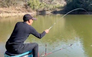 臺釣鯽魚子線要多長，根據(jù)魚情、季節(jié)、釣法等決定