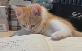貓打噴嚏的原因，有可能是粉塵、毛發(fā)、濃烈氣味刺激所致