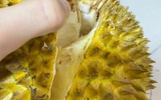 怎么催熟榴蓮，可用熟果或大米催熟等
