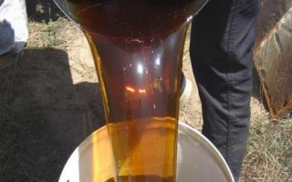 蕎麥蜜的價格，一般在30-60元一斤