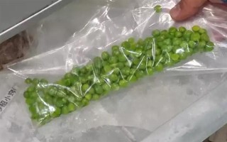豌豆可以用冰箱保存嗎，放在冰箱中可延長保質(zhì)期