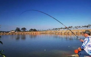 秋釣技巧，在水草區(qū)、入水口等位置釣魚(yú)更容易釣獲