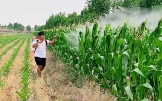 造成玉米打藥機(jī)維修事故的原因，可能是維修前準(zhǔn)備工作不充分