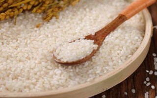 什么是珍珠米，本質(zhì)屬于粳米