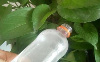 純牛奶兌水能澆花嗎，純牛奶兌水可以澆花