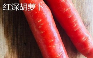 胡蘿卜的品種，品種較多各具特色