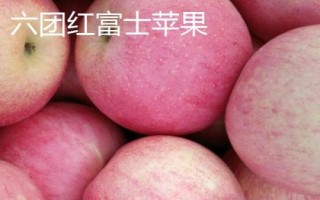 新疆阿克蘇地區(qū)有哪些特色水果，常見的有庫車小白杏、阿克蘇蘋果等