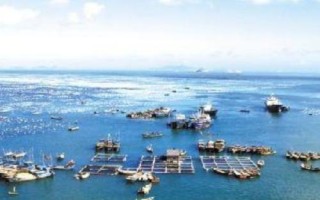為什么舟山漁場漁業(yè)資源豐富，寒流與暖流交匯魚群較為集中