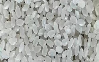 什么是珍珠米，本質(zhì)屬于粳米