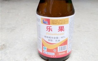 五味子卷葉蟲用什么藥，可以使用辛硫磷、磷銨乳油等
