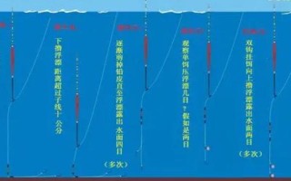 釣鯽魚用什么漂，首先選擇流線型或者棗核型的漂