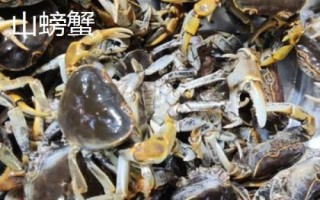 山螃蟹和河蟹的區(qū)別，生長(zhǎng)環(huán)境和食用方法均不同