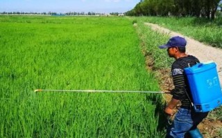 有哪些滅生性除草劑，常見(jiàn)的有草甘膦、百草枯和草銨膦