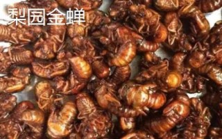 河北趙縣的特產(chǎn)，雪花梨栽培歷史悠久