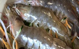 青蝦和魚(yú)怎么混養(yǎng)，長(zhǎng)成小蝦才能投放鰱、鳙等魚(yú)種